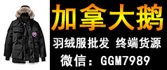 六年終端第一手貨源 加拿大鵝羽絨服批發(fā) 